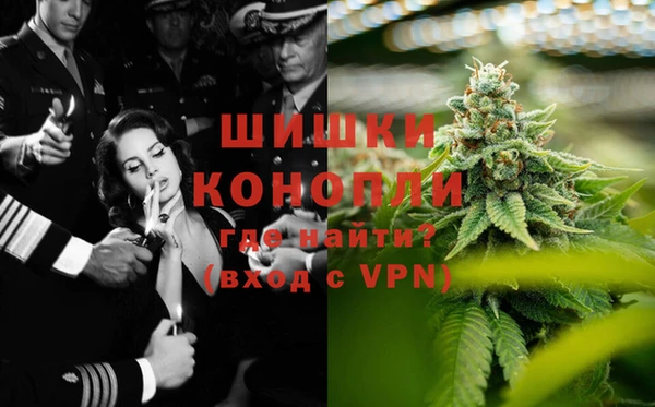 молекула духа Алексин