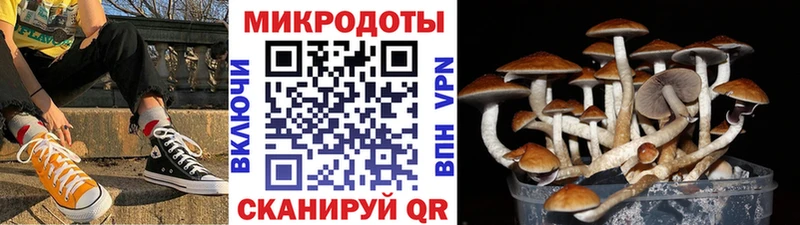 Псилоцибиновые грибы MAGIC MUSHROOMS  Рубцовск 